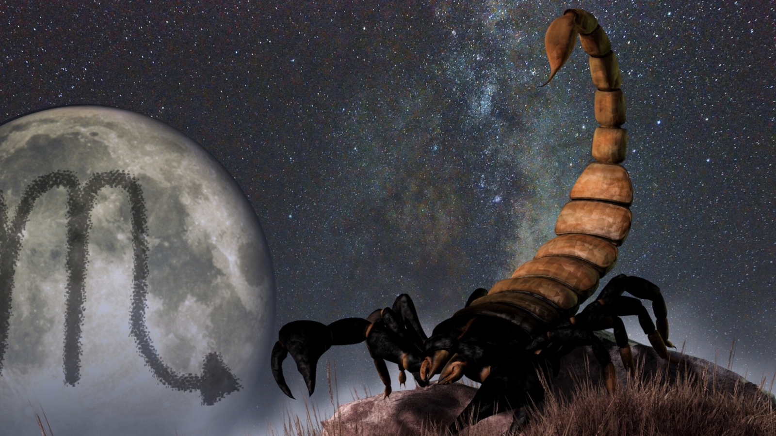 Weekly Horoscope Scorpio, February 11-17, 2024 predicts bright stars! - Vimarsana News