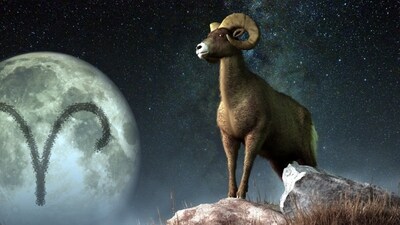 Weekly Horoscope Aries, February 11-17, 2024: There might be a few bumps in your romantic road this week.