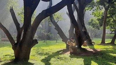 Karnataka govt plans to erect a 10-storey building in Cubbon park Karnataka govt plans to erect a 10-storey building in Cubbon park