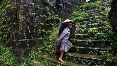 Extreme rainfall events of over 15 cm a day have quadrupled in frequency over the Meghalaya plateau, Assam between 1950 and 2021, tells study. (HT Archive) Extreme rainfall events of over 15 cm a day have quadrupled in frequency over the Meghalaya plateau, Assam between 1950 and 2021, tells study. (HT Archive)