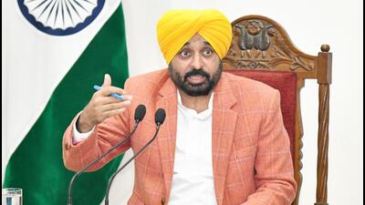 Chief minister Bhagwant Mann (File)