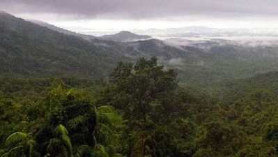 Deforestation tends to be worst in areas where property rights are hazy. (Forest Department Goa) Deforestation tends to be worst in areas where property rights are hazy. (Forest Department Goa)