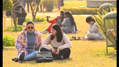 People enjoy sunny weather at Panjab University in Chandigarh on Sunday. (Keshav Singh/HT)