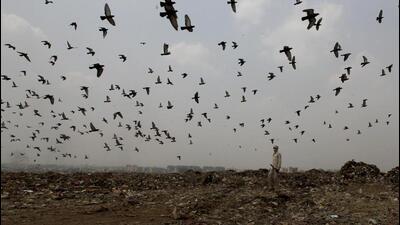 The Bhalswa and Ghazipur landfill sites are likely to remain active till at least 2027. (HT Archive) The Bhalswa and Ghazipur landfill sites are likely to remain active till at least 2027. (HT Archive)