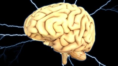 Myth #3: Epilepsy always causes convulsions, which involve shaking and jerking. Fact: Seizures come in various forms, each with distinct symptoms. These may include motor symptoms such as jerking movements, muscle weakness or rigidity and twitching or spasms. Non-motor symptoms can also occur, such as staring spells, changes in sensation, emotions, thinking or cognition, or a lack of movement. (Image by Pete Linforth from Pixabay ) Myth #3: Epilepsy always causes convulsions, which involve shaking and jerking. Fact: Seizures come in various forms, each with distinct symptoms. These may include motor symptoms such as jerking movements, muscle weakness or rigidity and twitching or spasms. Non-motor symptoms can also occur, such as staring spells, changes in sensation, emotions, thinking or cognition, or a lack of movement. (Image by Pete Linforth from Pixabay )