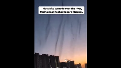 Mosquito 'tornado' over Pune. (Instagram/@Being Pune Official)