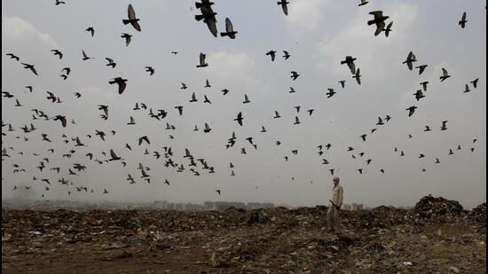 The Bhalswa and Ghazipur landfill sites are likely to remain active till at least 2027. (HT Archive)