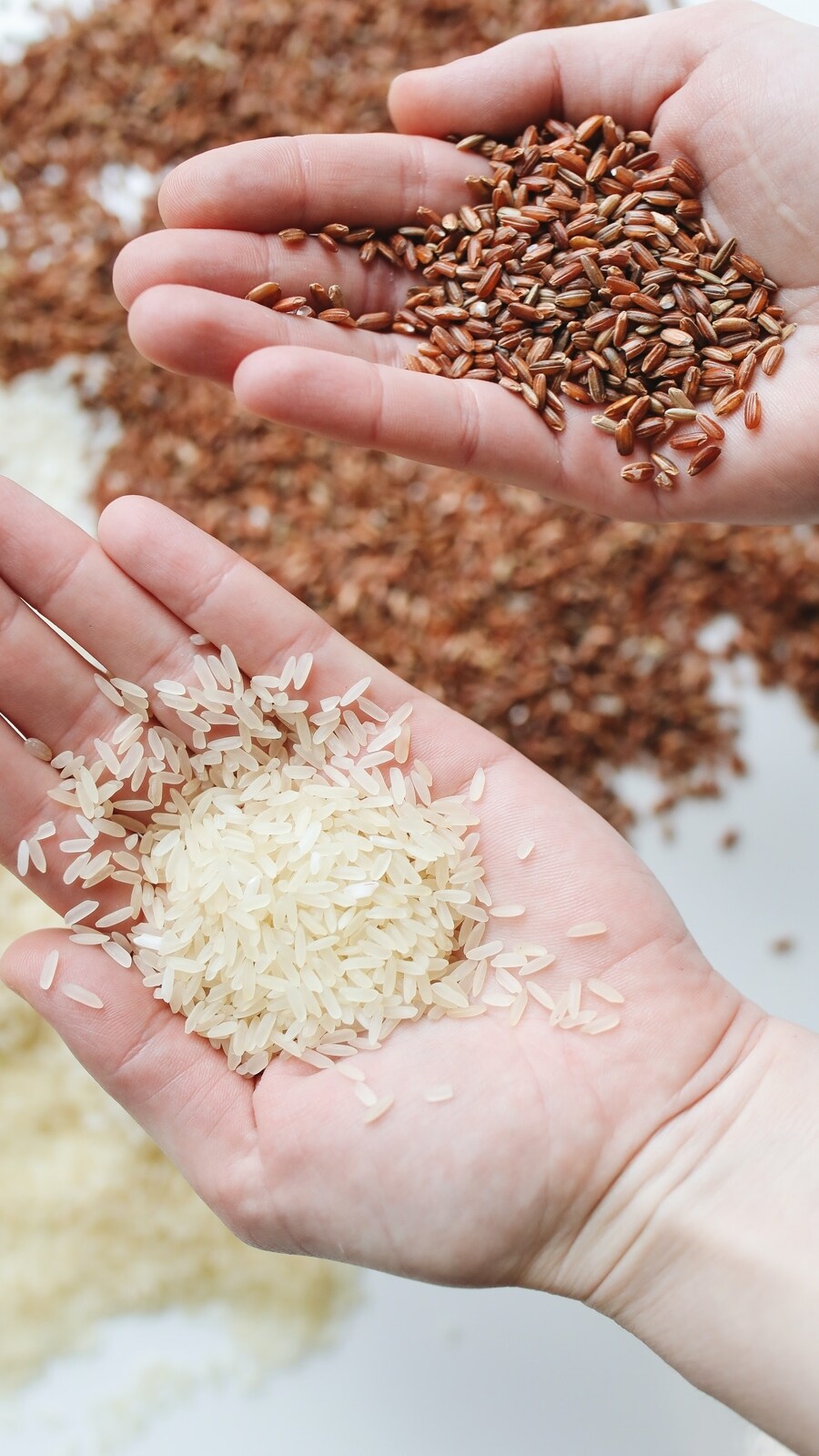 whole_grain_rice