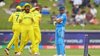 Australia U19 players celebrate a wicket during the final match against India's U19 in the ICC Under-19 World Cup 2024, at Willowmoore Park (ICC - X ) Australia U19 players celebrate a wicket during the final match against India's U19 in the ICC Under-19 World Cup 2024, at Willowmoore Park (ICC - X )