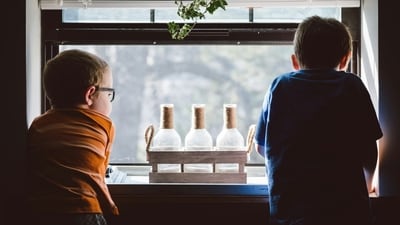 Neglect: Failure to provide basic needs such as food, shelter, and emotional support can result in feelings of abandonment and neglect in children. (Unsplash) Neglect: Failure to provide basic needs such as food, shelter, and emotional support can result in feelings of abandonment and neglect in children. (Unsplash)