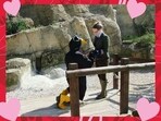 Valentine's Week: The image shows a man proposing to his girlfriend in a penguin costume. Valentine's Week: The image shows a man proposing to his girlfriend in a penguin costume.