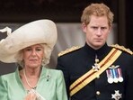 Prince Harry called Camilla, Queen Consort, "the villian" in new interview ahead of the release of his memoir Spare. Prince Harry called Camilla, Queen Consort, "the villian" in new interview ahead of the release of his memoir Spare.