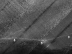 White arrows point at the Blinkerwall.(Proceedings of the National Academy of Sciences.)