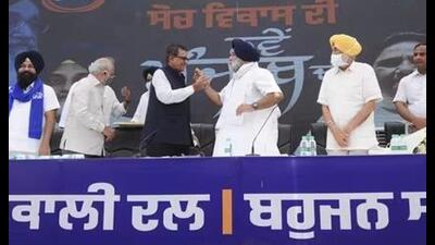 Shiromani Akali Dal (SAD) president Sukhbir Singh Badal offers sweets to Bahujan Samaj Party (BSP) secretary general Satish Chandra Mishra during a joint press conference at the SAD head office in Chandigarh on June 2021. (PTI file) Shiromani Akali Dal (SAD) president Sukhbir Singh Badal offers sweets to Bahujan Samaj Party (BSP) secretary general Satish Chandra Mishra during a joint press conference at the SAD head office in Chandigarh on June 2021. (PTI file)