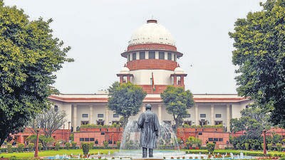 The ADR’s petition in the Supreme Court complained that the 2023 law allows the executive to dominate the matters of appointment of EC members, threatening democracy (ANI) The ADR’s petition in the Supreme Court complained that the 2023 law allows the executive to dominate the matters of appointment of EC members, threatening democracy (ANI)