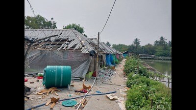 Violent protests, led mostly by local women, broke out in West Bengal’s Sandeshkhali village since February 7 (HT) Violent protests, led mostly by local women, broke out in West Bengal’s Sandeshkhali village since February 7 (HT)