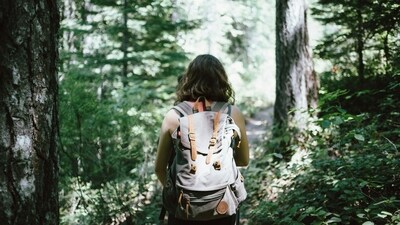 Explore Nature: Take a solo hike or stroll through a scenic park. Enjoy the beauty of nature, breathe in the fresh air, and take in the sights and sounds around you. It can be a peaceful and grounding experience. (Unsplash) Explore Nature: Take a solo hike or stroll through a scenic park. Enjoy the beauty of nature, breathe in the fresh air, and take in the sights and sounds around you. It can be a peaceful and grounding experience. (Unsplash)