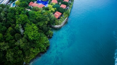 A Blend of Nature and Serenity: One of the key reasons to visit Singapore is to immerse yourself in its natural beauty, tranquillity, and pristine environment. Here are some must-visit places for nature lovers exploring the country with their families. (Unsplash) A Blend of Nature and Serenity: One of the key reasons to visit Singapore is to immerse yourself in its natural beauty, tranquillity, and pristine environment. Here are some must-visit places for nature lovers exploring the country with their families. (Unsplash)