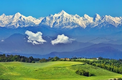 Binsar (Shutterstock) Binsar (Shutterstock)