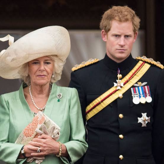 Prince Harry called Camilla, Queen Consort, "the villian" in new interview ahead of the release of his memoir Spare.