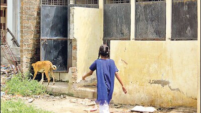 A video surfaced on social media showing girl students cleaning toilets (HT) A video surfaced on social media showing girl students cleaning toilets (HT)