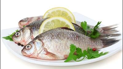 According to Hutchinson’s hypothesis, ‘in all ages and all countries, leprosy had been and still was due in the main to the consumption as food decomposing or imperfectly cured fish’. ((PIC FOR REPRESENTATION)) According to Hutchinson’s hypothesis, ‘in all ages and all countries, leprosy had been and still was due in the main to the consumption as food decomposing or imperfectly cured fish’. ((PIC FOR REPRESENTATION))