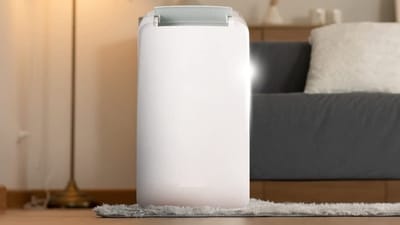 Transform your home's atmosphere with the power of the best dehumidifiers, where comfort meets quality.
