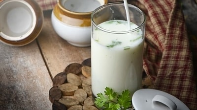 Buttermilk: Buttermilk is a traditional Indian drink that is often consumed during meals. It can be a good source of probiotics (Unsplash) Buttermilk: Buttermilk is a traditional Indian drink that is often consumed during meals. It can be a good source of probiotics (Unsplash)