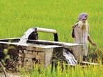 If Indian agriculture has to have a future, it needs to have a future-oriented policy outlook. (HT File) If Indian agriculture has to have a future, it needs to have a future-oriented policy outlook. (HT File)