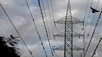 The arrears of 1,392 offices of the Pune Municipal Corporation (PMC) and Pimpri-Chinchwad Municipal Corporation (PCMC) have risen to ₹1.73 crore. (REPRESENTATIVE PHOTO) The arrears of 1,392 offices of the Pune Municipal Corporation (PMC) and Pimpri-Chinchwad Municipal Corporation (PCMC) have risen to ₹1.73 crore. (REPRESENTATIVE PHOTO)