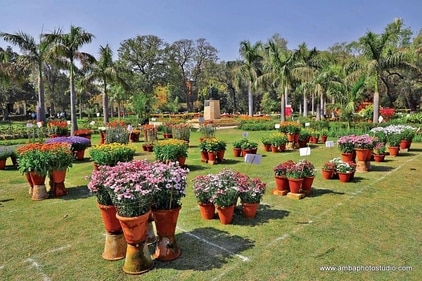 This year's theme of this flower show in Delhi University is Women Nurturing Nature. ((Photo for representational purposes only))