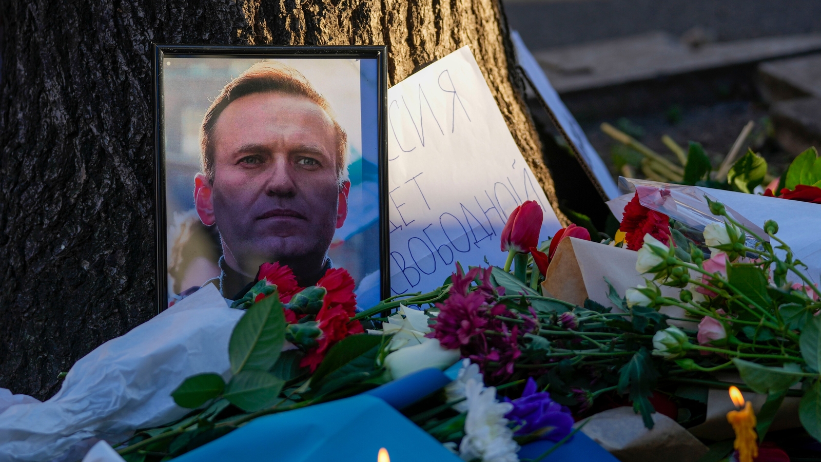 Moscow warns against protests after Alexei Navalny death: 'Necessary to warn' | World News - Vimarsana News