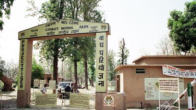 The Corbett Tiger Reserve. (HT PHOTO/File) The Corbett Tiger Reserve. (HT PHOTO/File)