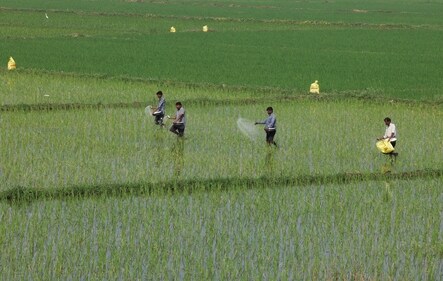 Nitrous oxide emissions largely come from chemical reactions between the atmosphere and nitrogen applied to the soil via fertilizers. (Reuters)