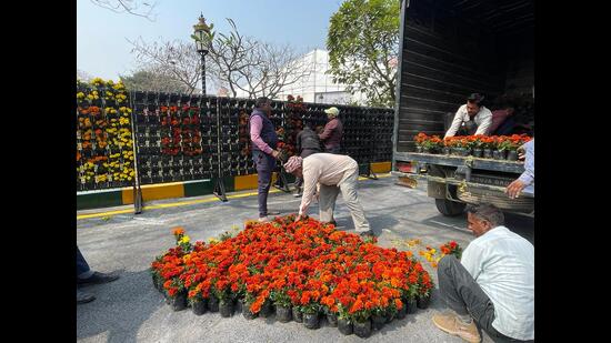 IGP being decked up with approximately 50k flowers of different varieties brought from across India, but mainly Bhimtal (HT Photo)