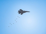 Twitter/@IAF_MCC