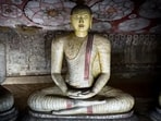 Rohini Vrat in February 2024: Date, significance, rituals, puja muhurat(Unsplash)