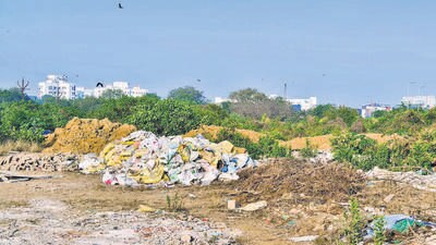 Authorities turn blind eye to steady destruction of Juhu Koliwada mangroves Authorities turn blind eye to steady destruction of Juhu Koliwada mangroves