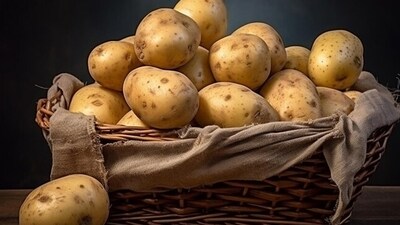 Starches and roots: Packed with complex carbohydrates, starches and roots provide sustained energy and promote gut health.&nbsp; (Freepik)