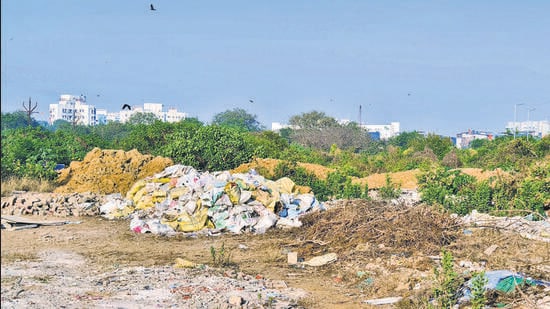 Authorities turn blind eye to steady destruction of Juhu Koliwada mangroves