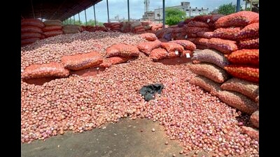 One of the reasons for lifting the ban is said to be huge onion stocks in Gujarat and Maharashtra, said experts. (HT PHOTO)