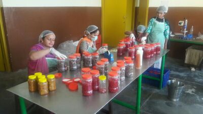 The members of KAFRO preparing different processed products. (HT Photo) The members of KAFRO preparing different processed products. (HT Photo)