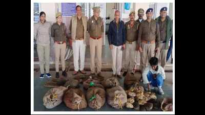 The two turtle smuggles in police custody. (HT)