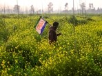 An improvement in agricultural incomes requires farmers to be organised into cooperatives so that they can increase their bargaining power in both input and output markets, An improvement in agricultural incomes requires farmers to be organised into cooperatives so that they can increase their bargaining power in both input and output markets,
