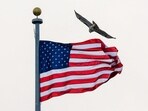 Cato Institute's white paper says only 3% applicants are likely to get green card in 2024 in United States. Cato Institute's white paper says only 3% applicants are likely to get green card in 2024 in United States.