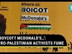 ‘BOYCOTT MCDONALD’S…’: PRO-PALESTINIAN ACTIVISTS FUME