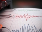The depth of the tremor was 10 km below the surface, it said.