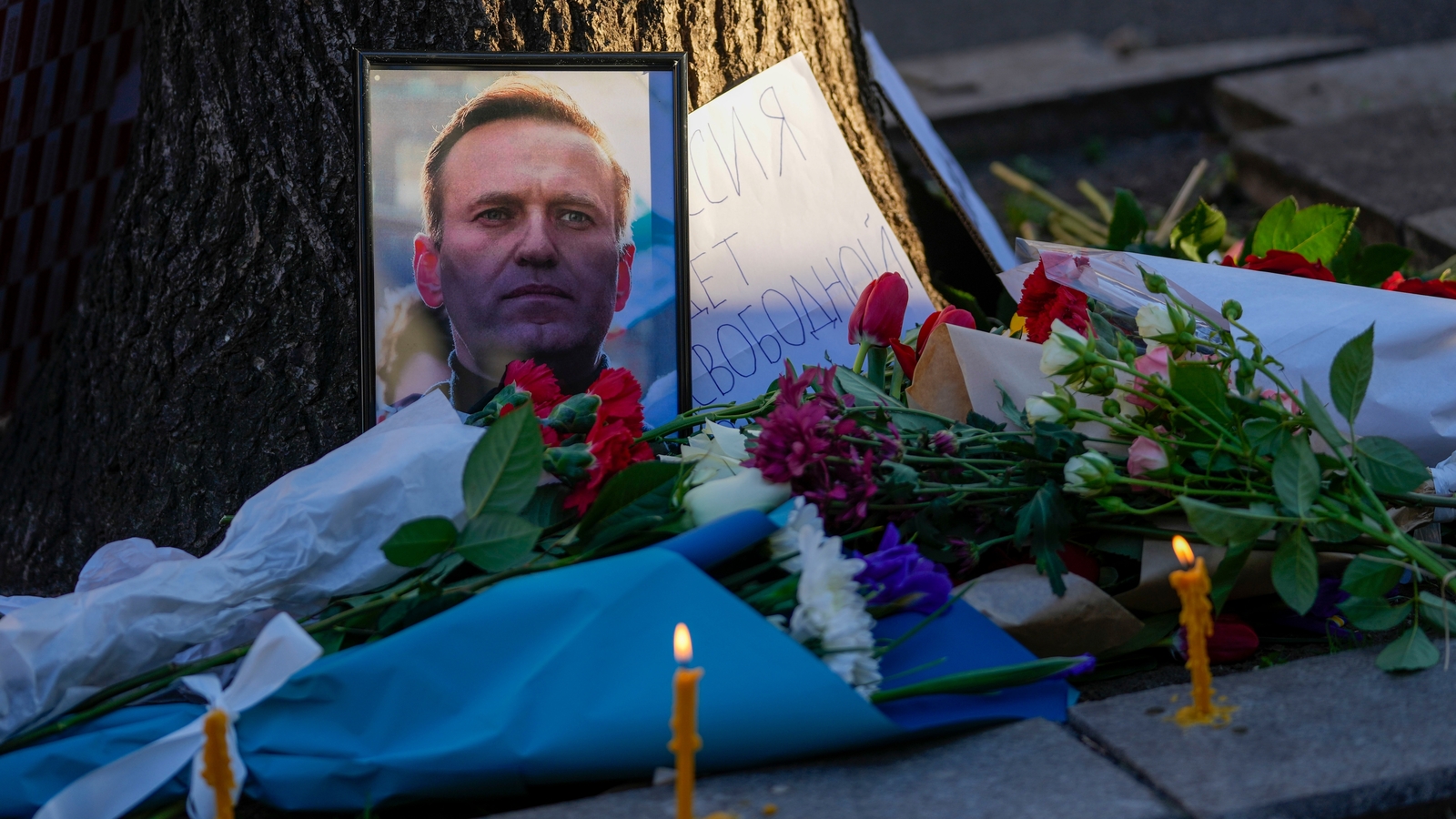 Probe into Alexei Navalny&rsquo;s death ongoing: Kremlin