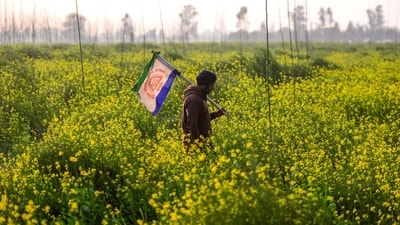 An improvement in agricultural incomes requires farmers to be organised into cooperatives so that they can increase their bargaining power in both input and output markets, (AFP FILE) An improvement in agricultural incomes requires farmers to be organised into cooperatives so that they can increase their bargaining power in both input and output markets, (AFP FILE)