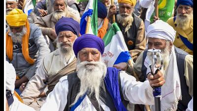 The Samyukta Kisan Morcha (SKM), an umbrella body of 37 farm unions, has rejected the central ministers’ proposal for a guaranteed MSP on pulses, maize and cotton. (PTI)
